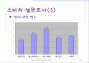 아이스베리의 새로운 도약(IceBerry - Repositionig) 16페이지
