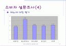 아이스베리의 새로운 도약(IceBerry - Repositionig) 17페이지