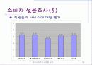 아이스베리의 새로운 도약(IceBerry - Repositionig) 18페이지