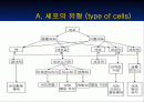 what is a cell (파워포인트 발표용) 2페이지