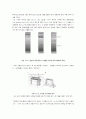  단백질 추출과 전기영동 6페이지