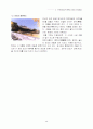  수원의 화성 49페이지