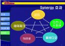 월트 디즈니의 경영전략 16페이지
