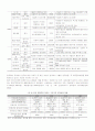 한류관광지속화방안 5페이지
