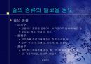 생명환경정보관리 술과건강 5페이지