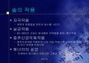 생명환경정보관리 술과건강 10페이지