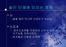 생명환경정보관리 술과건강 11페이지