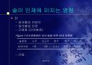 생명환경정보관리 술과건강 15페이지