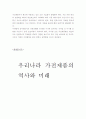 한국 전자가전제품의 역사 8페이지