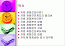 재정진단-안양시 사례 2페이지