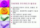 재정진단-안양시 사례 5페이지