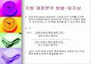 재정진단-안양시 사례 8페이지