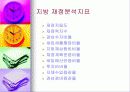 재정진단-안양시 사례 12페이지