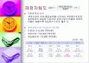 재정진단-안양시 사례 13페이지