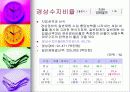 재정진단-안양시 사례 15페이지
