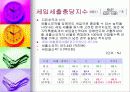 재정진단-안양시 사례 16페이지