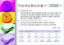 재정진단-안양시 사례 17페이지