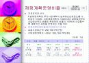 재정진단-안양시 사례 18페이지