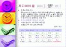 재정진단-안양시 사례 20페이지