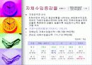 재정진단-안양시 사례 21페이지
