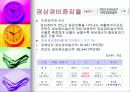 재정진단-안양시 사례 22페이지