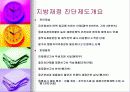 재정진단-안양시 사례 23페이지