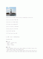 New York City 3페이지