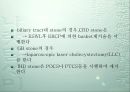  IVP과 ESWL 29페이지