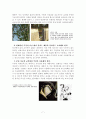 디자인을 통한 공존 -지속 가능한 디자인 (SUSTAINABLE DESIGN) 8페이지