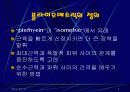 플라이오 메트릭이란 무엇인가? 2페이지