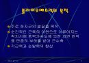 플라이오 메트릭이란 무엇인가? 3페이지