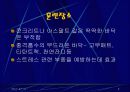 플라이오 메트릭이란 무엇인가? 6페이지