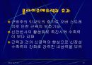 플라이오 메트릭이란 무엇인가? 8페이지