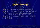 플라이오 메트릭이란 무엇인가? 10페이지