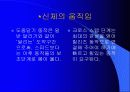 육상경기중 투창경기의 해부학적 분석 5페이지