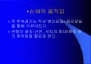 육상경기중 투창경기의 해부학적 분석 7페이지