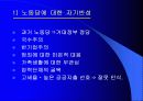 제3의 길(The Third Way) 13페이지