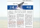 보전생물학과 종다양성 4페이지