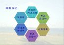 보전생물학과 종다양성 10페이지