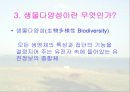 보전생물학과 종다양성 17페이지