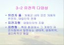보전생물학과 종다양성 24페이지