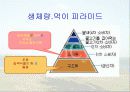 보전생물학과 종다양성 30페이지