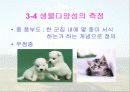 보전생물학과 종다양성 33페이지
