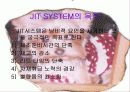JIT SYSTEM에 대하여 3페이지
