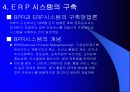 ERP시스템에 대하여 13페이지