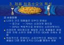 바릴라스파(Barilla SpA) 마케팅 연구 조사자료 11페이지