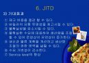 바릴라스파(Barilla SpA) 마케팅 연구 조사자료 17페이지