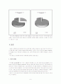 브렌치캠퍼스(Branch Campus)란 무엇인가?_분교의실태 6페이지