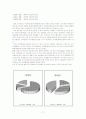 브렌치캠퍼스(Branch Campus)란 무엇인가?_분교의실태 17페이지