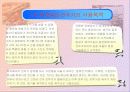 비행체 이해(1차 세계 대전의 전투기의 공력, 기능, 무장, 역할, 발달사) 3페이지